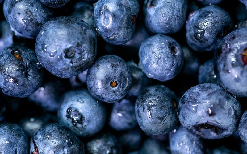 acai-uzumu-acai-tozu-natureller-acai-tozu-faydalari-nelerdir-natureller-bitki-sozlugu
