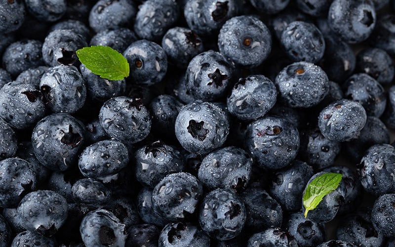 Acai Üzümü Nedir? Acai Tozunun Faydaları Nelerdir? Nerede Yetişir?