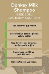 Maia mc Donkey Milk Shampoo Hyaluronic Acid Provitamin B5 Vitamenin E Alae Vera Saç Köklerini Güçlendirir