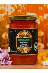 Kayadibi Organik Polifloralı Süzme Çiçek Balı 850g