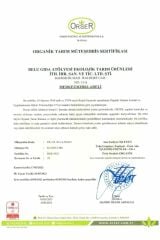 Belu Gıda Atölyesi Organik Yulaf Ezmesi 250g