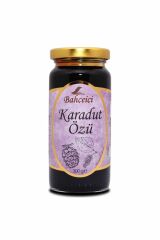 Bahçeiçi Karadut Özü