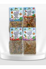 Ekoloji Junior Kahramanlar Makarna Partisi 4lü Set (yumurta-süt Içermez)