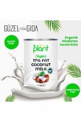 Güzel Ada Gıda Organik Hindistan Cevizi Sütü 400 ml
