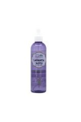 Softem Lavanta Suyu 250 ml