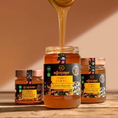 Eğriçayır Organik Çiçek Balı 300g