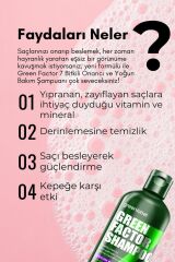 Green Factor 7 Bitkili Vegan Parabensiz Glutensiz Yoğun Bakım Ve Biberiye Suyu Içeren Şampuan