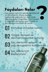 Greenlabel Çam Kozalak Ve Çay Ağacı Özlü Tuzsuz Parabensiz Sülfatsız Kepek Karşıtı Şampuan 400ml