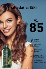 Greenlabel Çam Kozalak Ve Çay Ağacı Özlü Tuzsuz Parabensiz Sülfatsız Kepek Karşıtı Şampuan 400ml