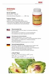 MNK Artichoke Enginar Yaprak Ekstresi 120 Kapsül + Hap Kutusu