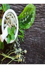 MNK Reishi Mushroom Reishi Mantarı Ekstresi 120 Kapsül + Hap Kutusu