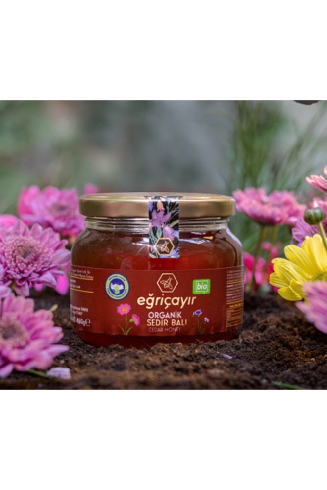 Eğriçayır Organik Sedir Balı 450g