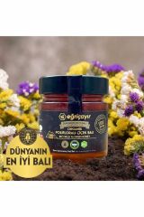 Eğriçayır Organik Polifloralı (Çok Çiçekli) Bal 300g