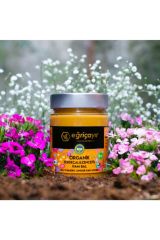 Eğriçayır Organik Zerdeçal & Zencefil Ve Ham Bal Karışımı 415g