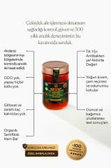 Eğriçayır Organik Çam Balı Ta15+ 850g