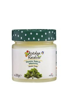 Damla Sakızı Macunu 290g