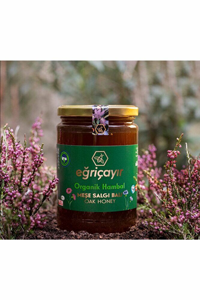 Eğriçayır Organik Meşe Balı 850g