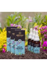 Eğriçayır Organik Su Bazlı Propolis Damla 20 ml (3 Adet)
