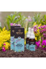 Eğriçayır Organik Su Bazlı Propolis Damla 20 ml (2 Adet)
